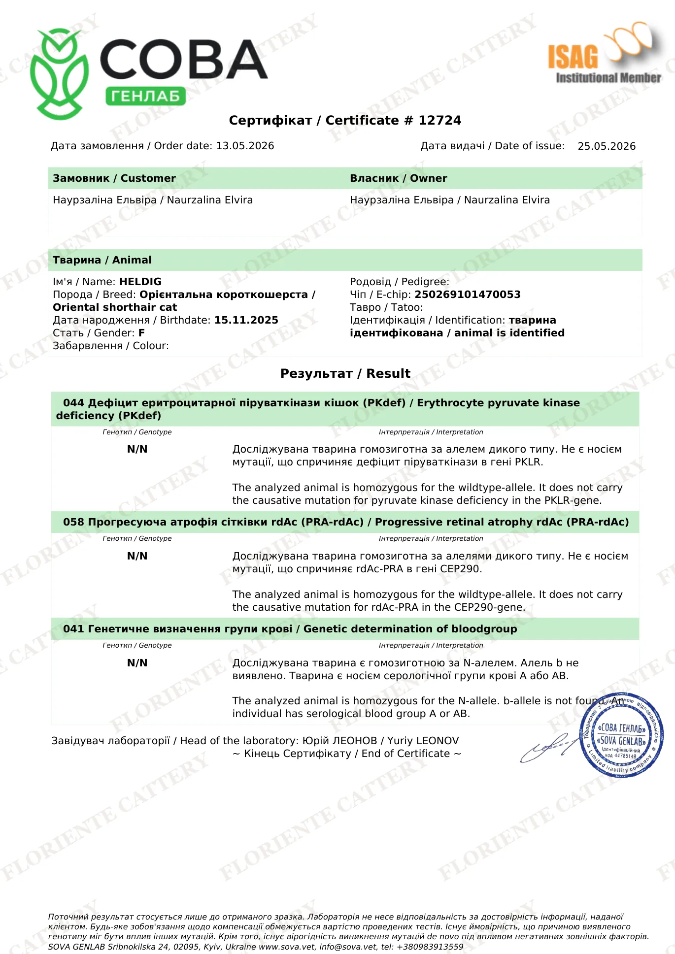 Genetic test (PKdef N/N, PRA-rdAc N/N) - Heldig, SOVA GenLab