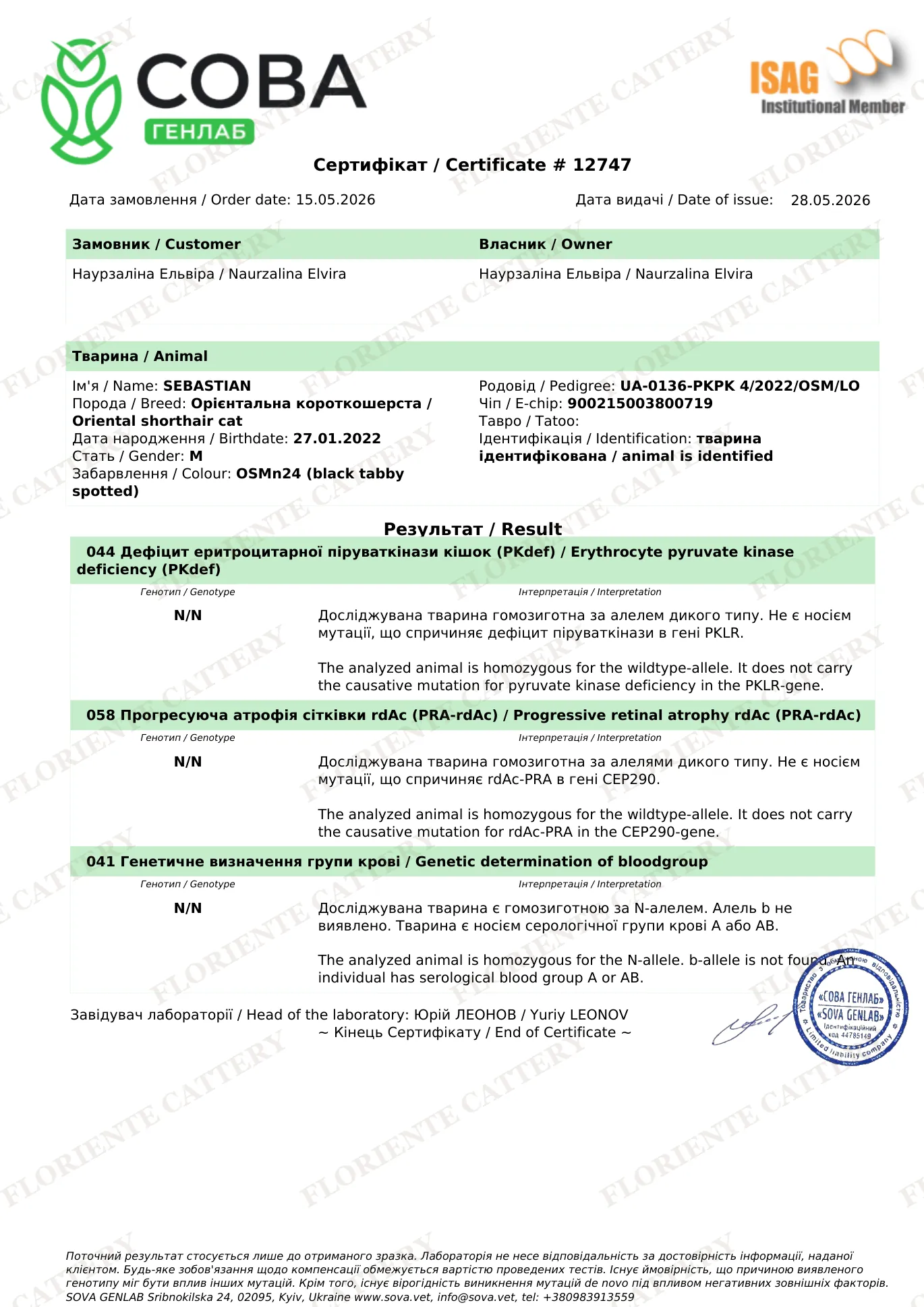 Genetic test (PKdef N/N, PRA-rdAc N/N) - Sebastian Ole Lukhoye, SOVA GenLab
